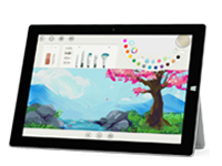 沙湖镇Surface 无法开启、Windows 无法启动或电池无法充电